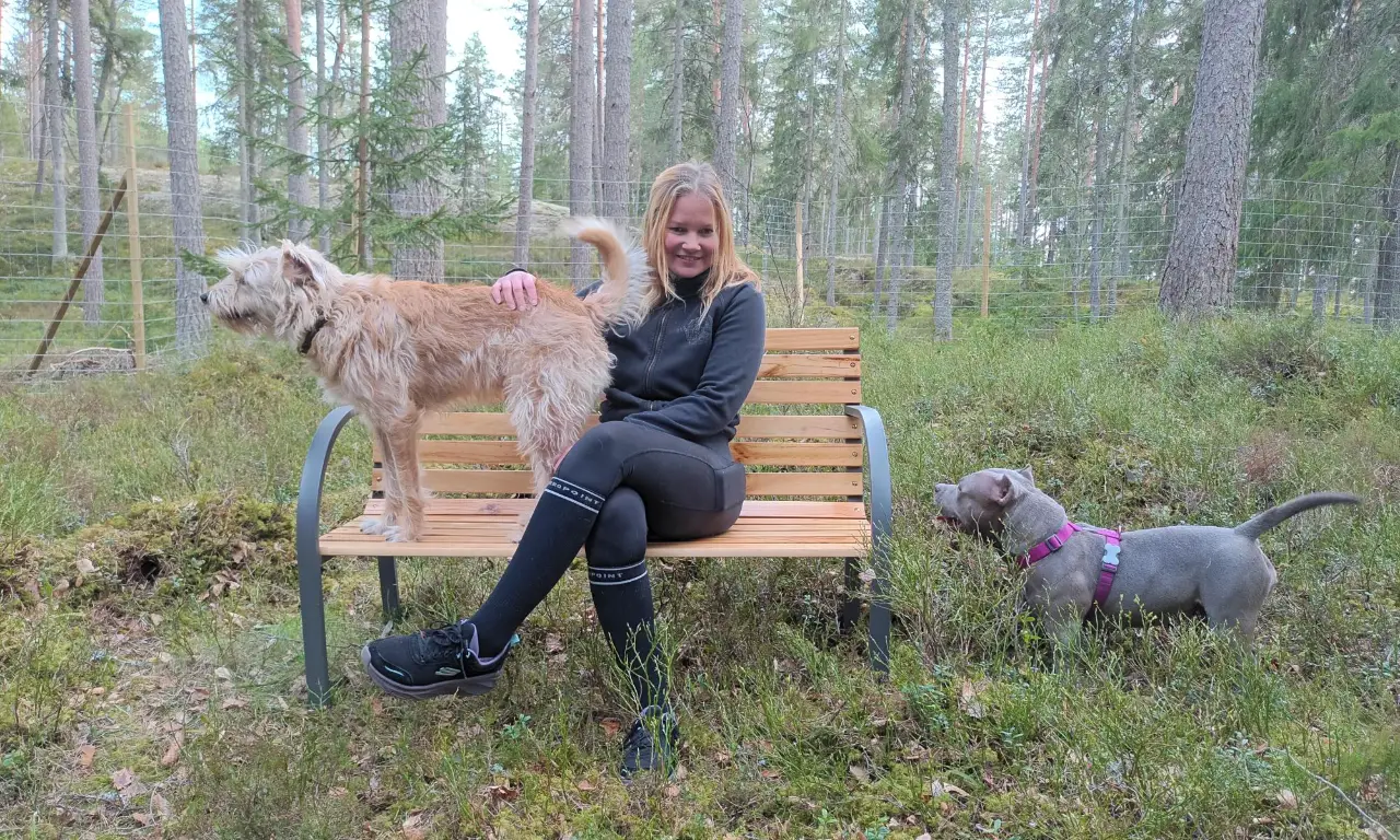Omistaja ja koirat penkillä