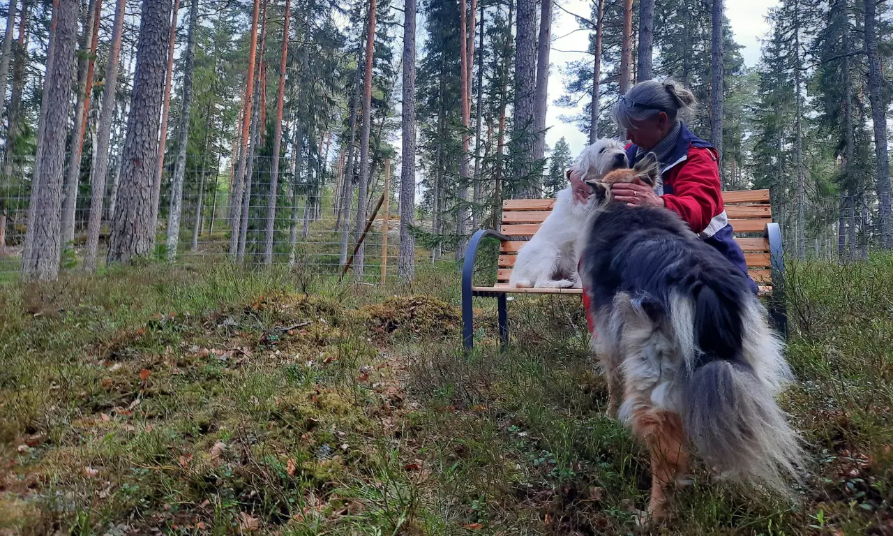 Viihtyisä hetki koiran kanssa